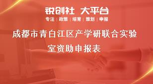 成都市青白江區產學研聯合實驗室資助申報表獎補政策
