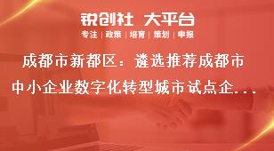 成都市新都區：遴選推薦成都市中小企業數字化轉型城市試點企業工作要求獎補政策