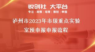 瀘州市2023年市級重點實驗室預申報申報流程獎補政策