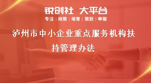 瀘州市中小企業(yè)重點(diǎn)服務(wù)機(jī)構(gòu)扶持管理辦法獎補(bǔ)政策