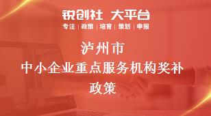 瀘州市中小企業(yè)重點(diǎn)服務(wù)機(jī)構(gòu)相關(guān)配套獎補(bǔ)政策