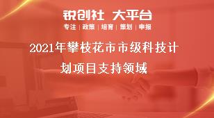 2021年攀枝花市市級科技計(jì)劃項(xiàng)目支持領(lǐng)域獎補(bǔ)政策