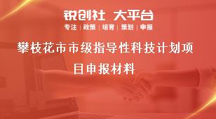 攀枝花市市級指導性科技計劃項目申報材料獎補政策