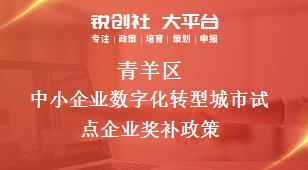 青羊區中小企業數字化轉型城市試點企業相關配套獎補政策