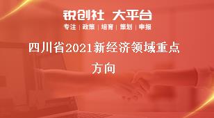 四川省2021新經濟領域重點方向獎補政策