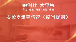 實(shí)驗(yàn)室組建情況（編寫提綱）獎(jiǎng)補(bǔ)政策