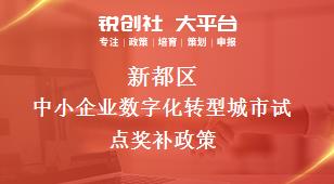 新都區中小企業數字化轉型城市試點相關配套獎補政策
