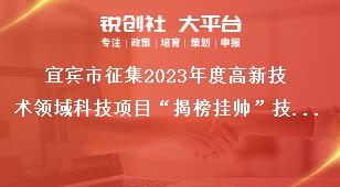 宜賓市征集2023年度高新技術(shù)領(lǐng)域科技項(xiàng)目“揭榜掛帥”技術(shù)需求征集范圍獎補(bǔ)政策