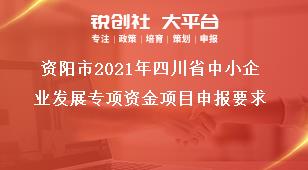資陽市2021年四川省中小企業(yè)發(fā)展專項資金項目申報要求獎補政策